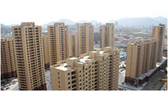 金亨木业建筑模板--浙江中成滨海新区太平镇二期安置房项目